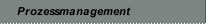 Prozessmanagement